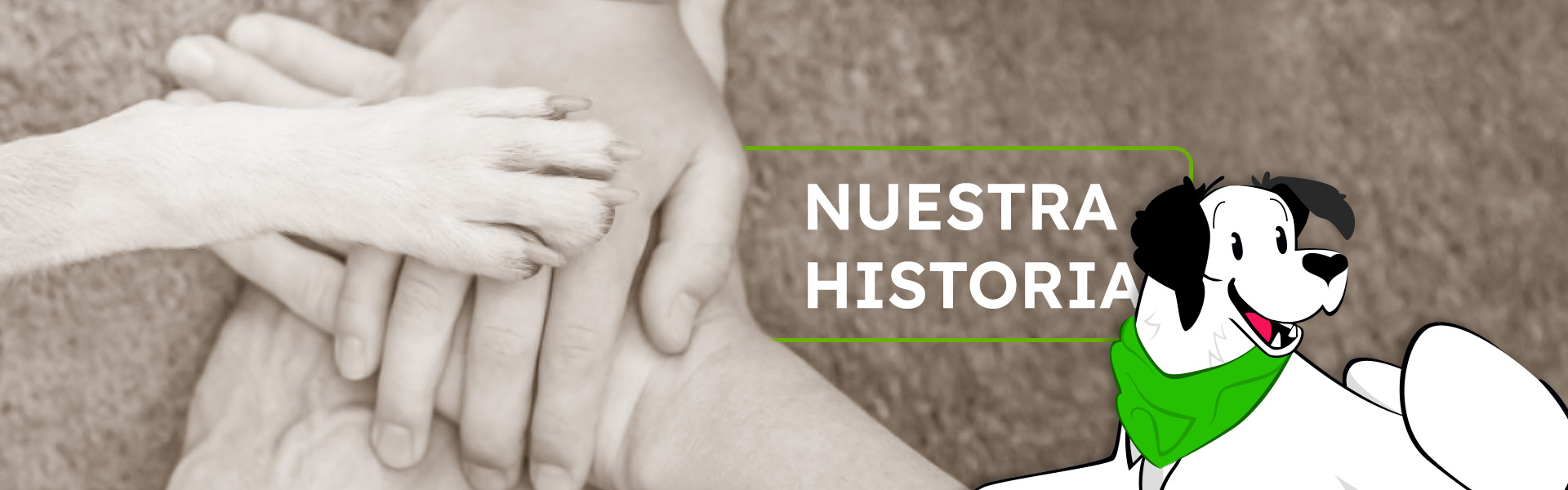 Nuestra Historia - Daalma